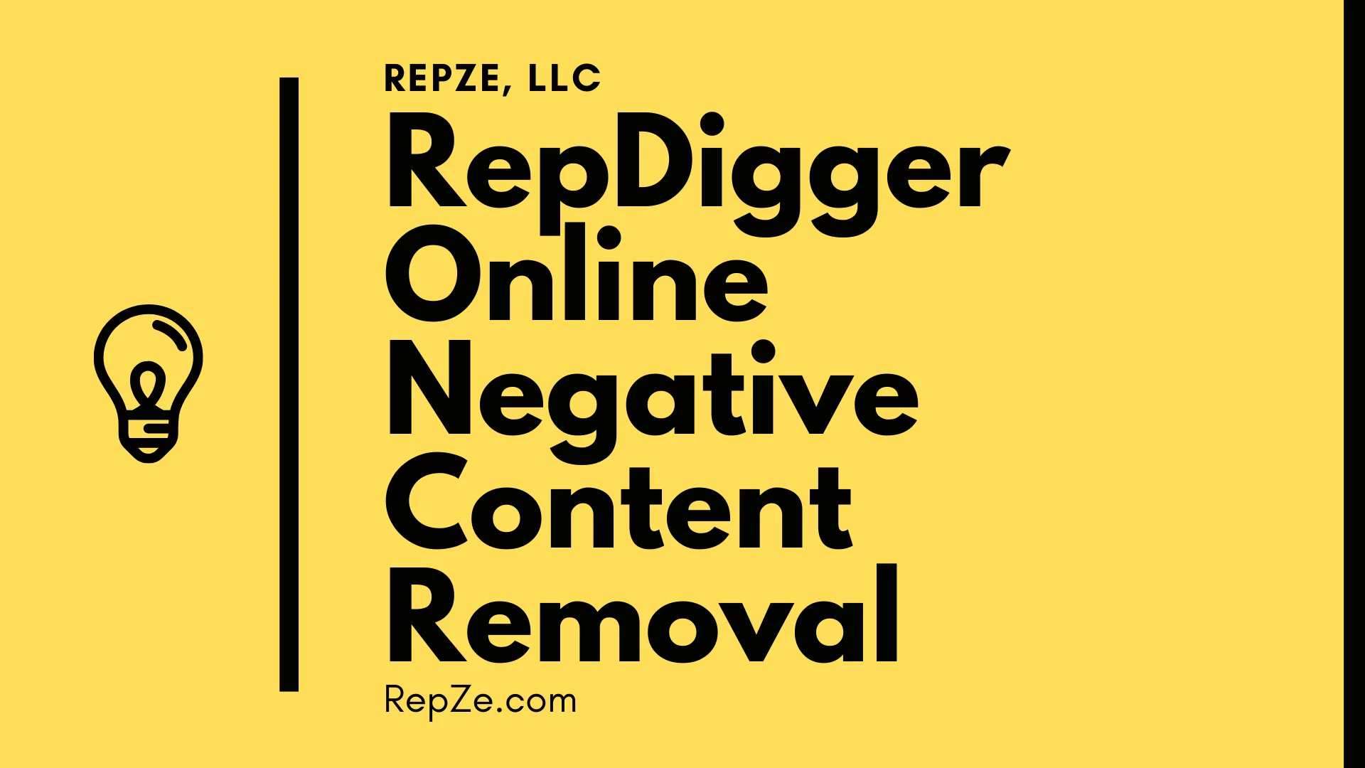 RepDigger.com Negative Content Removal From The Internet